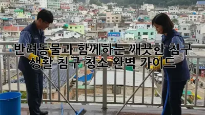 반려동물과 함께하는 깨끗한 침구 생활! 침구 청소 완벽 가이드